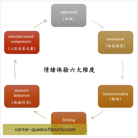 塞巴斯蒂安科展现情绪管理，赛场内外保持稳定心态